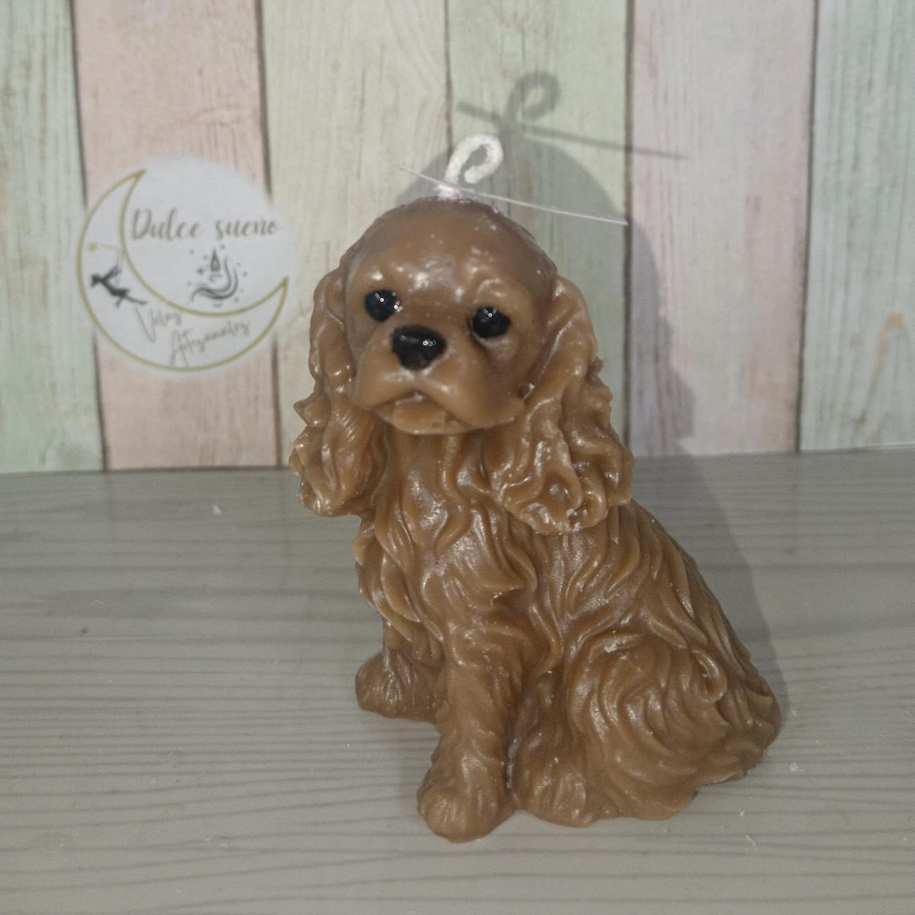 Cachorro Max