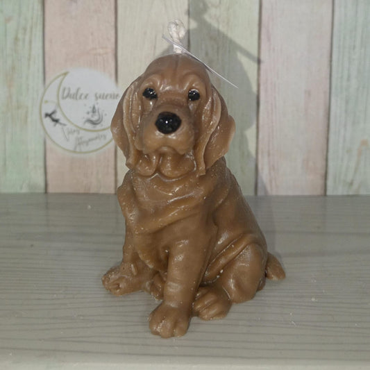 Cachorro Sabueso